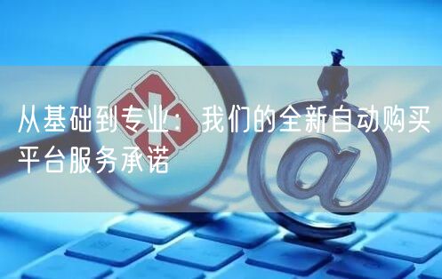 从基础到专业：我们的全新自动购买平台服务