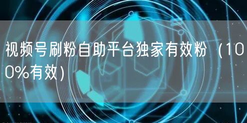 视频号刷粉自助平台独家有效粉（100%有