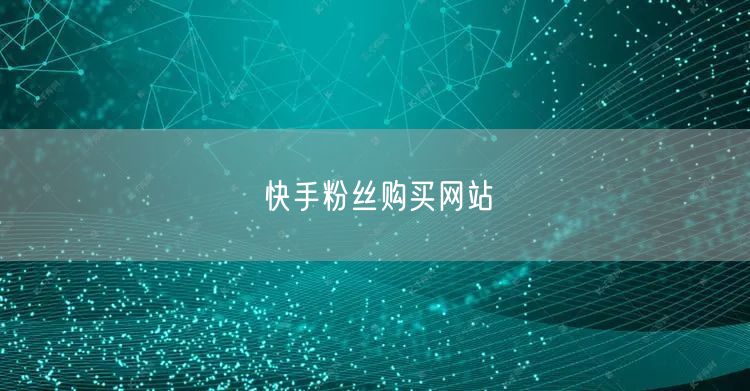 快手粉丝购买网站