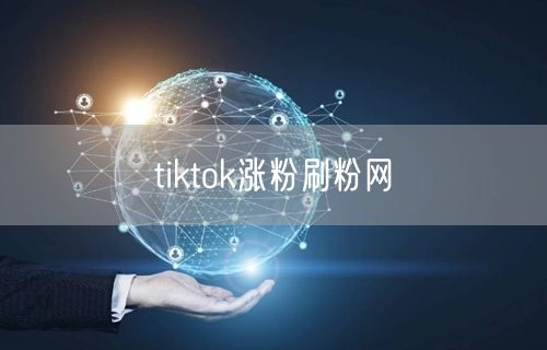 tiktok涨粉刷粉网