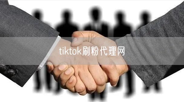 tiktok刷粉代理网