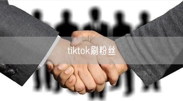 tiktok刷粉丝