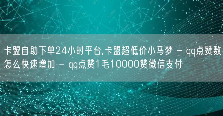 卡盟自助下单24小时平台,卡盟超低价小马