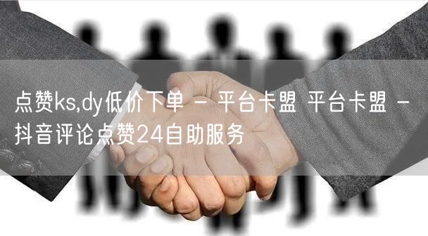 点赞ks,dy低价下单 - 平台卡盟 平