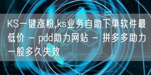 KS一键涨粉,ks业务自助下单软件最低价