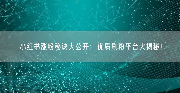 小红书涨粉秘诀大公开：优质刷粉平台大揭秘