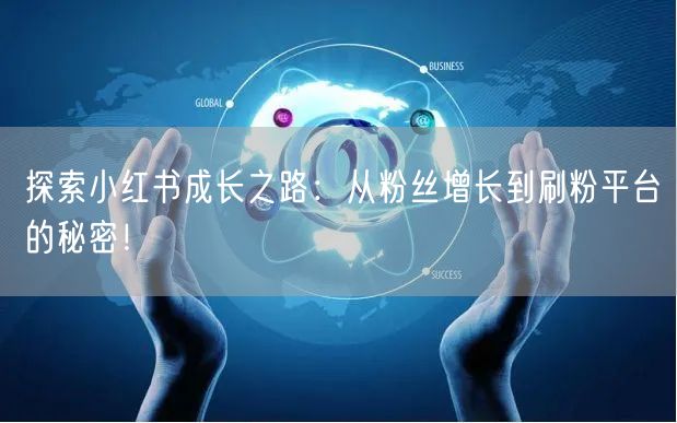 探索小红书成长之路：从粉丝增长到刷粉平台