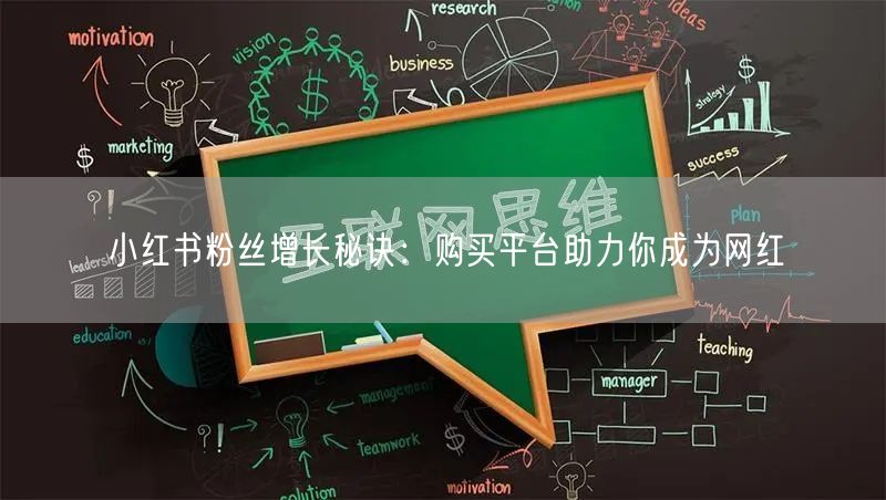 小红书粉丝增长秘诀：购买平台助力你成为网