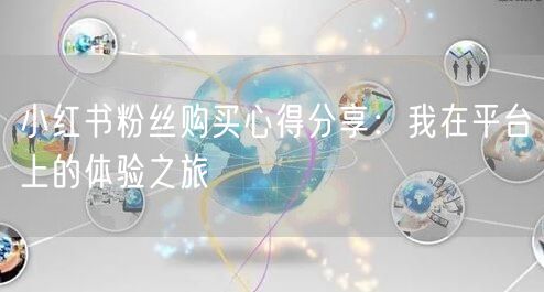 小红书粉丝购买心得分享：我在平台上的体验