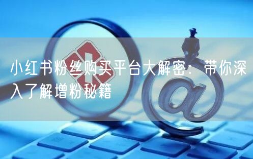 小红书粉丝购买平台大解密：带你深入了解增