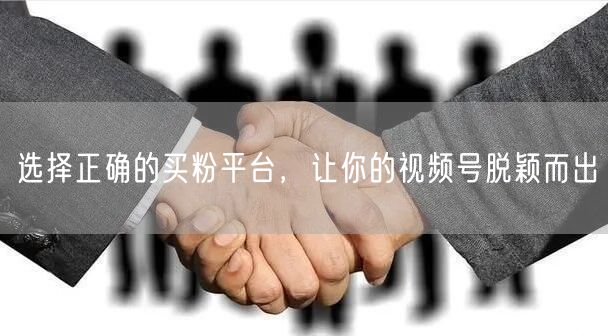 选择正确的买粉平台，让你的视频号脱颖而出