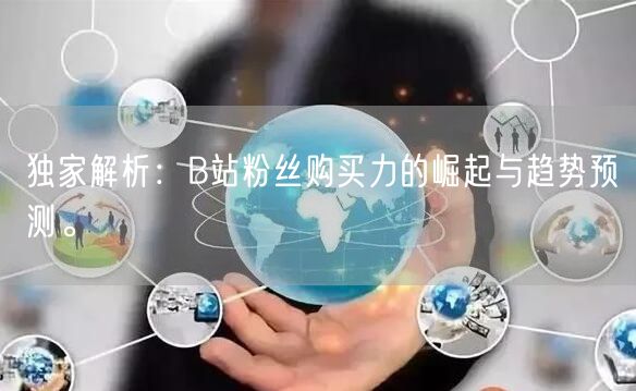独家解析：B站粉丝购买力的崛起与趋势预测