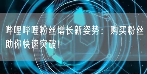 哔哩哔哩粉丝增长新姿势：购买粉丝助你快速