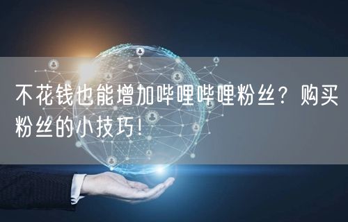 不花钱也能增加哔哩哔哩粉丝？购买粉丝的小