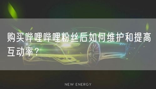 购买哔哩哔哩粉丝后如何维护和提高互动率？