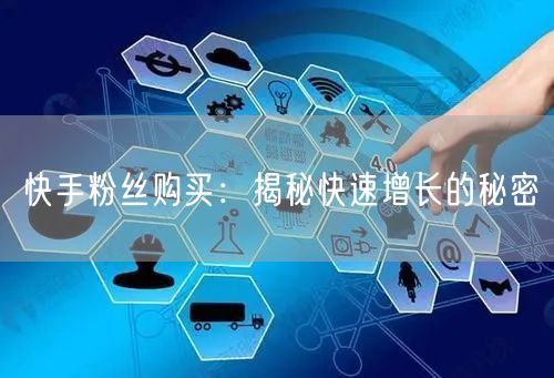 快手粉丝购买：揭秘快速增长的秘密