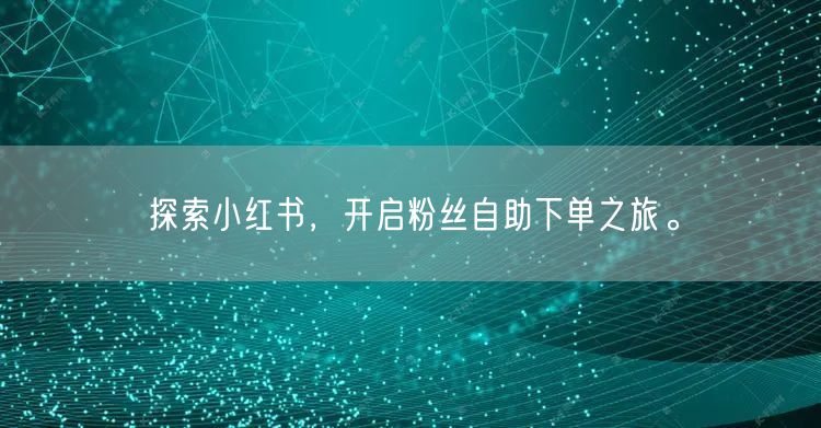 探索小红书，开启粉丝自助下单之旅。