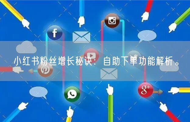 小红书粉丝增长秘诀：自助下单功能解析。