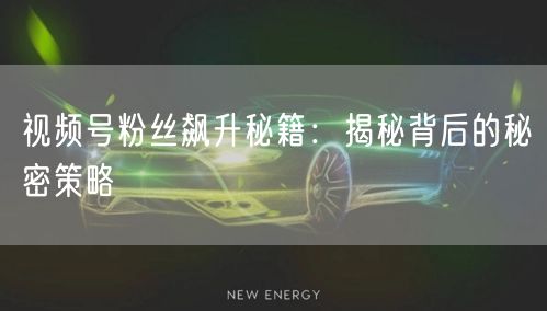 视频号粉丝飙升秘籍：揭秘背后的秘密策略