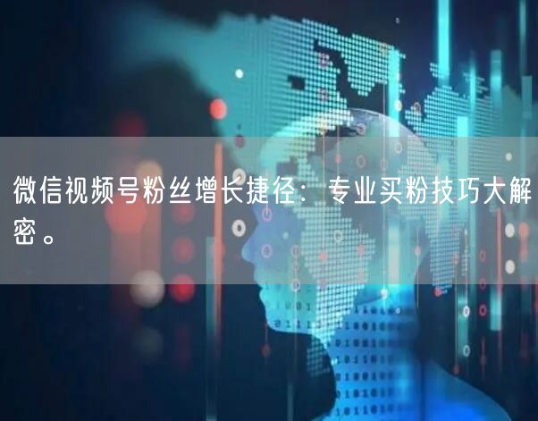 微信视频号粉丝增长捷径：专业买粉技巧大解