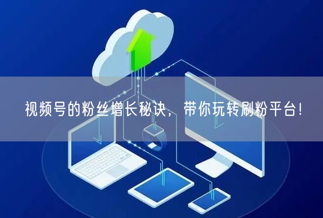 视频号的粉丝增长秘诀，带你玩转刷粉平台！