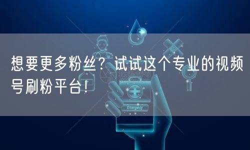 想要更多粉丝？试试这个专业的视频号刷粉平
