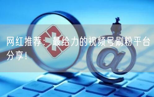 网红推荐：最给力的视频号刷粉平台分享！
