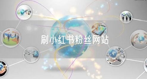 刷小红书粉丝网站