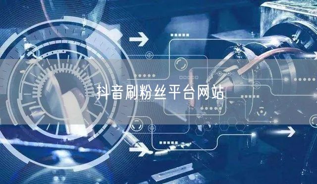 抖音刷粉丝平台网站