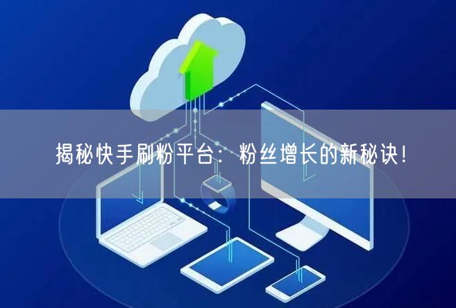 揭秘快手刷粉平台：粉丝增长的新秘诀！