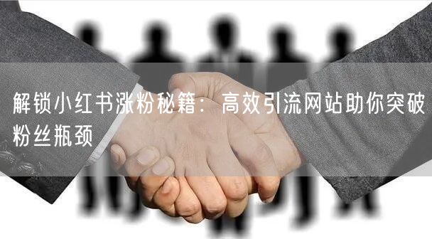 解锁小红书涨粉秘籍：高效引流网站助你突破