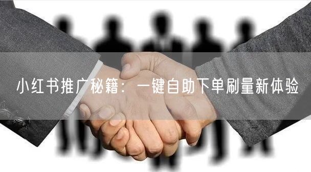 小红书推广秘籍：一键自助下单刷量新体验