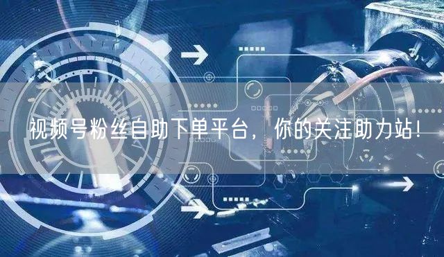 视频号粉丝自助下单平台，你的关注助力站！