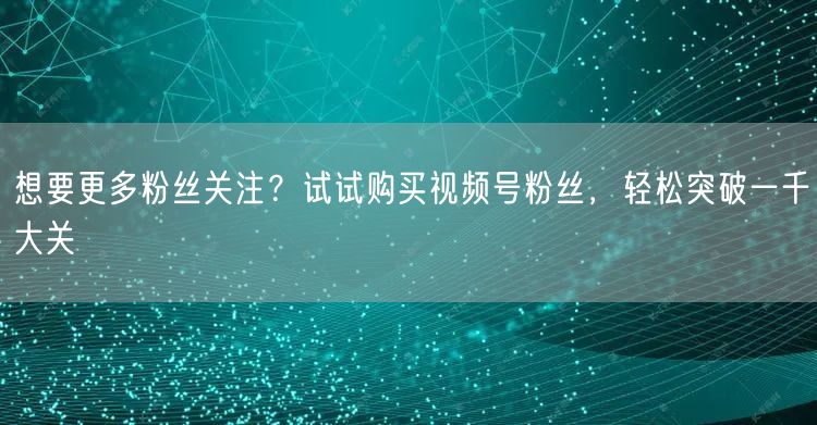 想要更多粉丝关注？试试购买视频号粉丝，轻