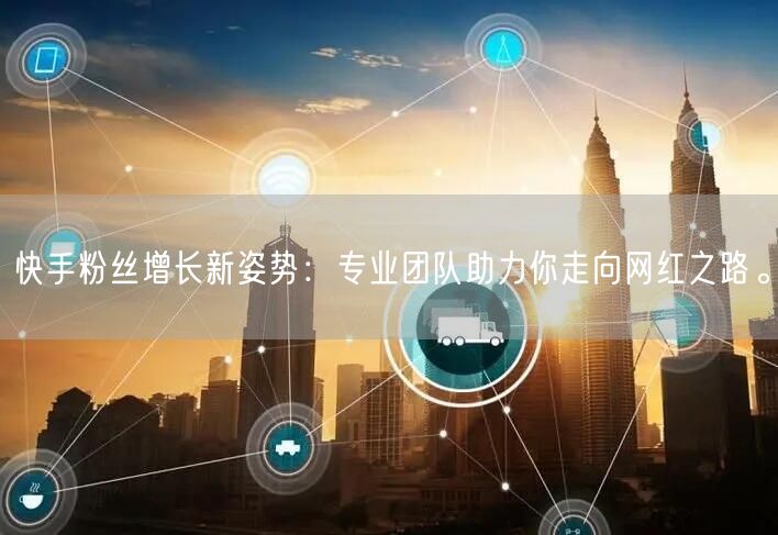 快手粉丝增长新姿势：专业团队助力你走向网