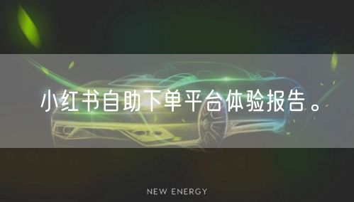 小红书自助下单平台体验报告。