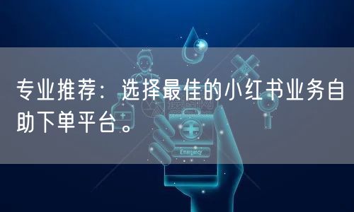 专业推荐：选择最佳的小红书业务自助下单平