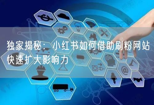 独家揭秘：小红书如何借助刷粉网站快速扩大