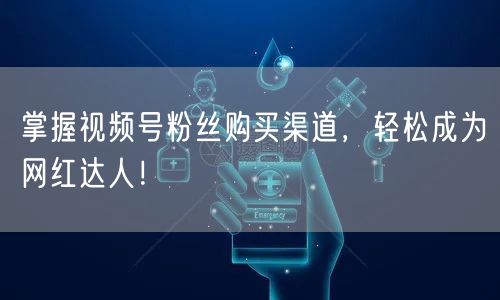 掌握视频号粉丝购买渠道，轻松成为网红达人