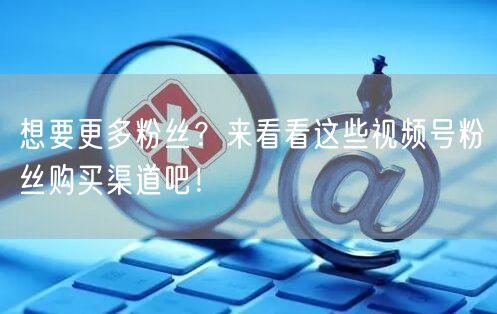 想要更多粉丝？来看看这些视频号粉丝购买渠