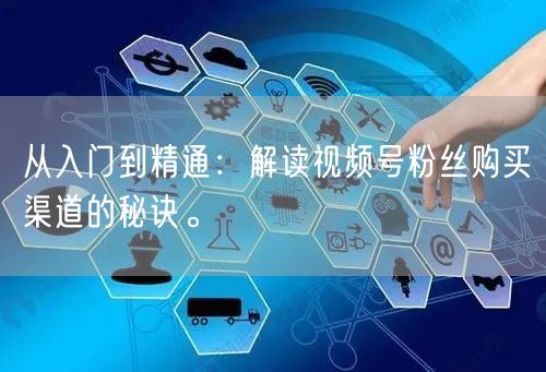 从入门到精通：解读视频号粉丝购买渠道的秘
