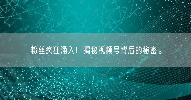 粉丝疯狂涌入！揭秘视频号背后的秘密。