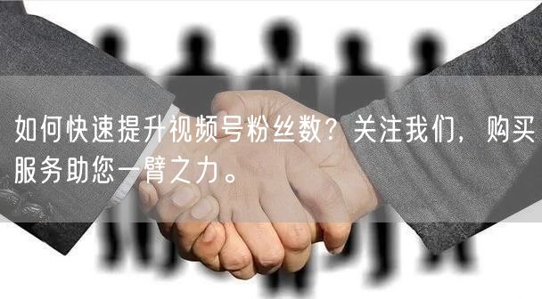 如何快速提升视频号粉丝数？关注我们，购买