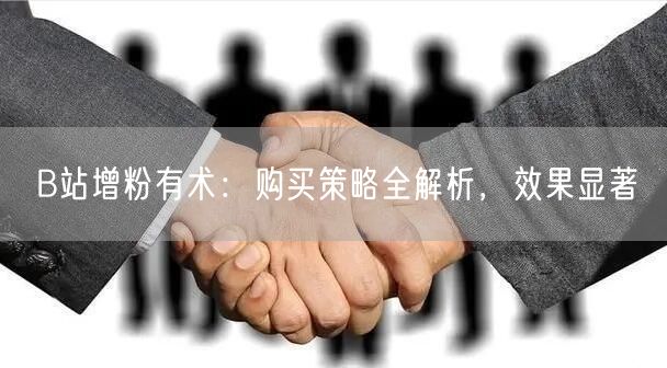 B站增粉有术：购买策略全解析，效果显著
