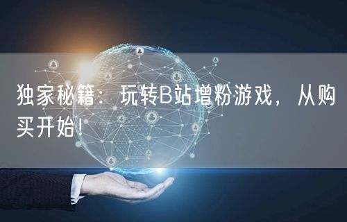 独家秘籍：玩转B站增粉游戏，从购买开始！
