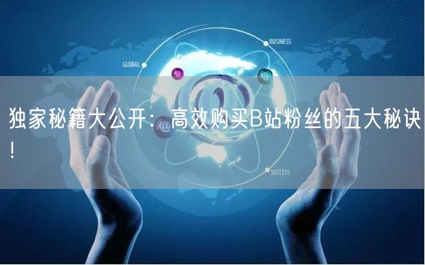 独家秘籍大公开：高效购买B站粉丝的五大秘