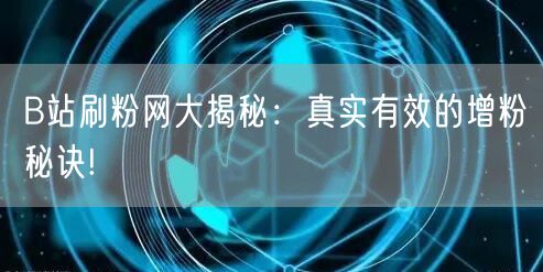 B站刷粉网大揭秘：真实有效的增粉秘诀!