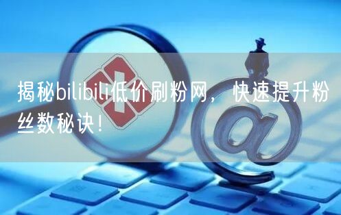 揭秘bilibili低价刷粉网，快速提升