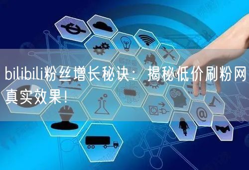 bilibili粉丝增长秘诀：揭秘低价刷