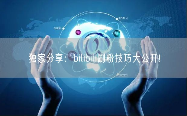 独家分享：bilibili刷粉技巧大公开